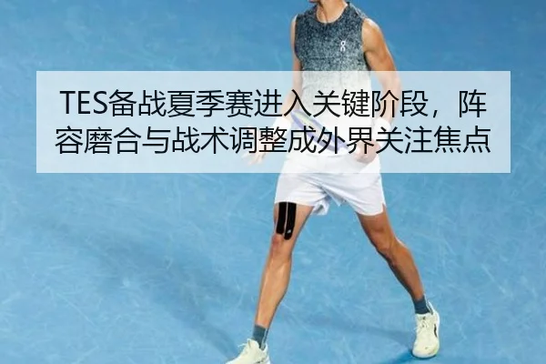 TES备战夏季赛进入关键阶段，阵容磨合与战术调整成外界关注焦点